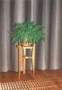 Plantentafeltje