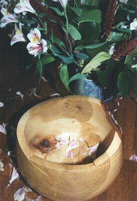 Mossed bowl