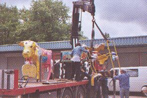 Cows put on transport near the workshop