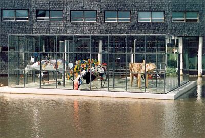 Cows at the Municipal Office