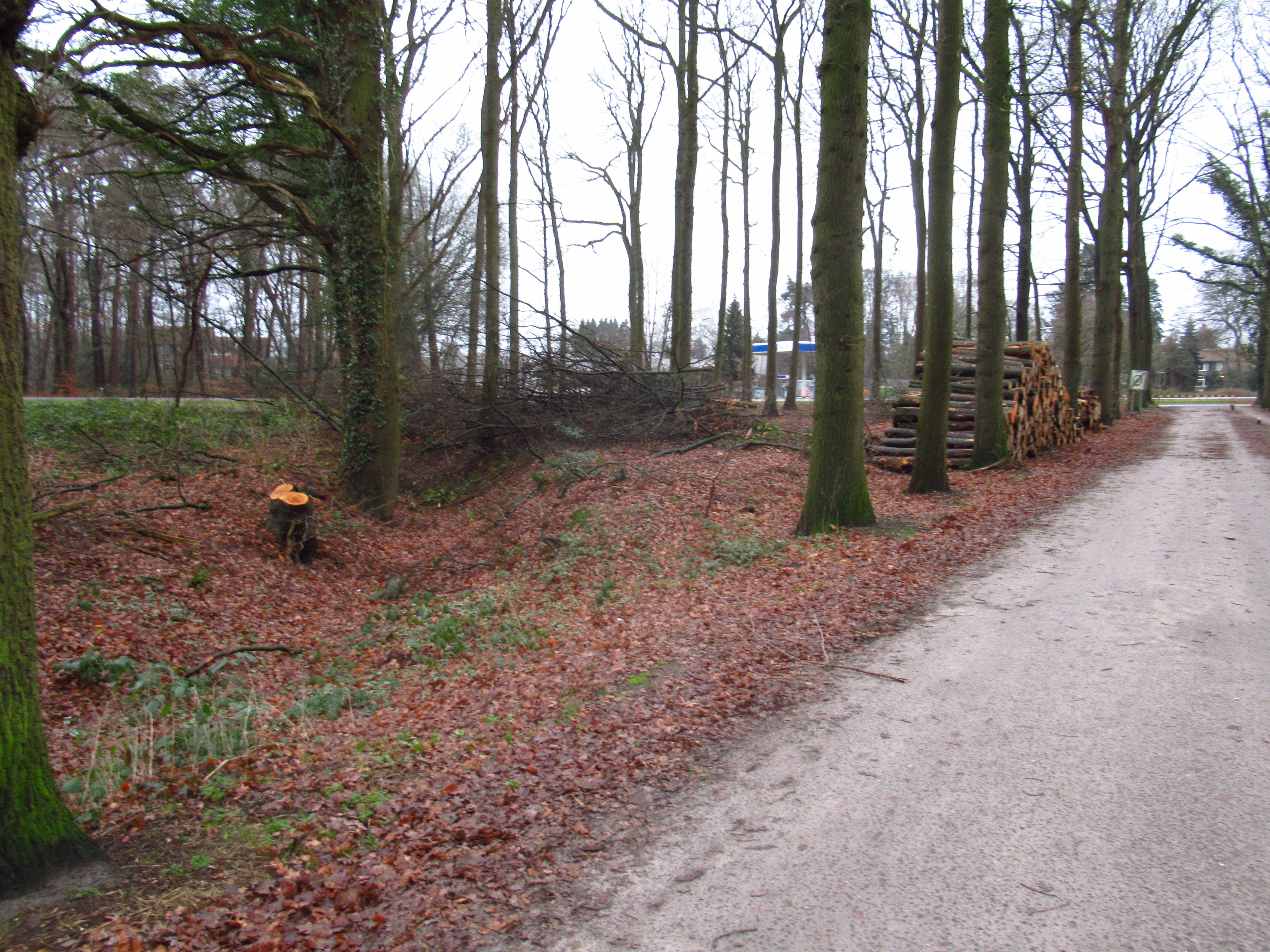 De Oude Veengoot bij de Gageldijk