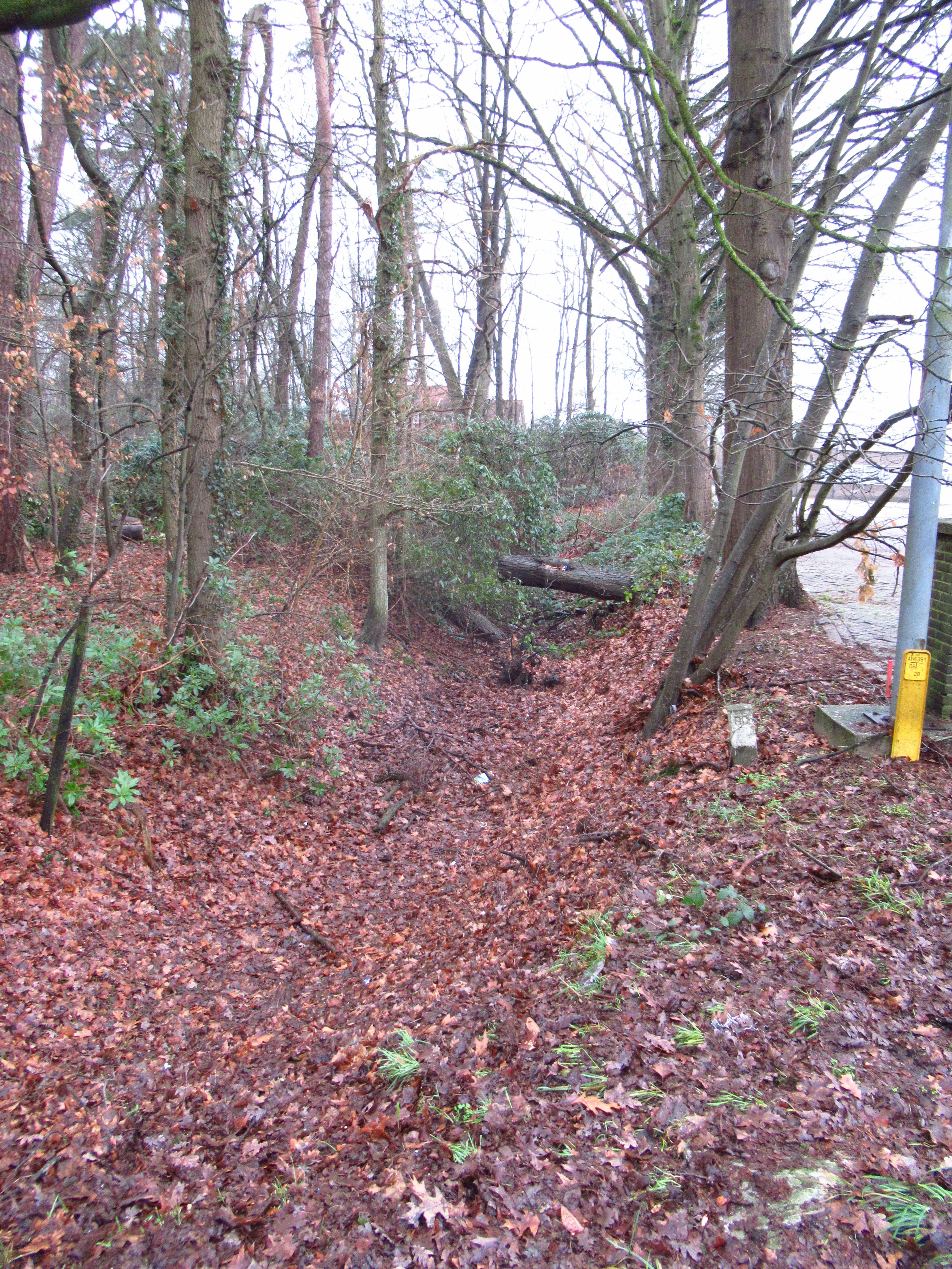 De Oude Veengoot naast de Tinq